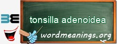 WordMeaning blackboard for tonsilla adenoidea